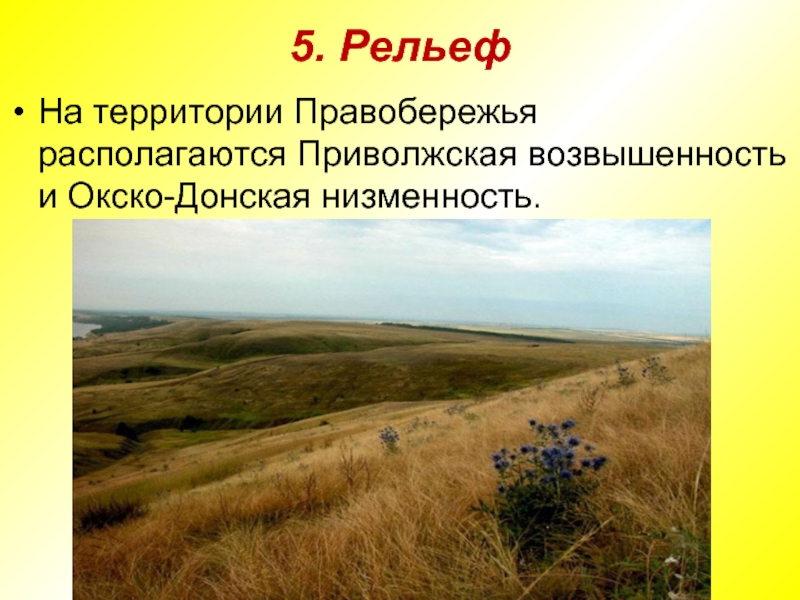 Черты природы. Пенза Приволжская возвышенность. Окско Донская возвышенность. Окско Донская равнина Саратовская область. Приволжская возвышенно равнинная Степная.