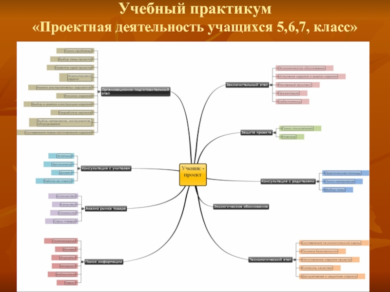 Практикум деятельность. Интеллект карта учителя. Практикум проектная деятельность. Интеллект карта проектная деятельность. Интеллект карта инновации.