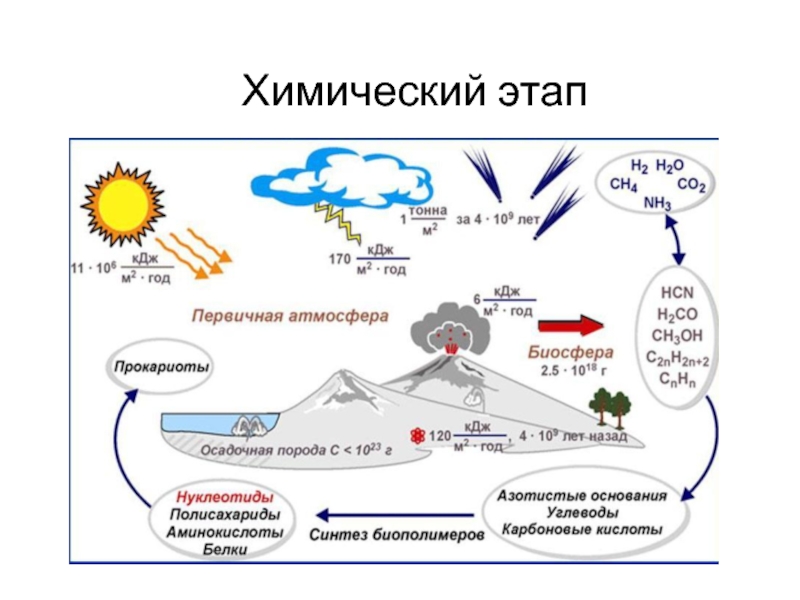 Основные этапы химической эволюции схема