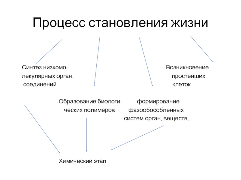 Процесс жизни. Синтез в жизни. Этап возникновения полимеров. Фазообособленные системы. 4 Этапа возникновения жизни Синтез простых.