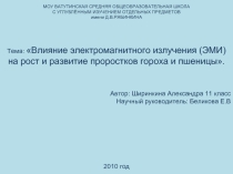 Влияние электромагнитного излучения (ЭМИ) на рост и развитие проростков гороха и пшеницы