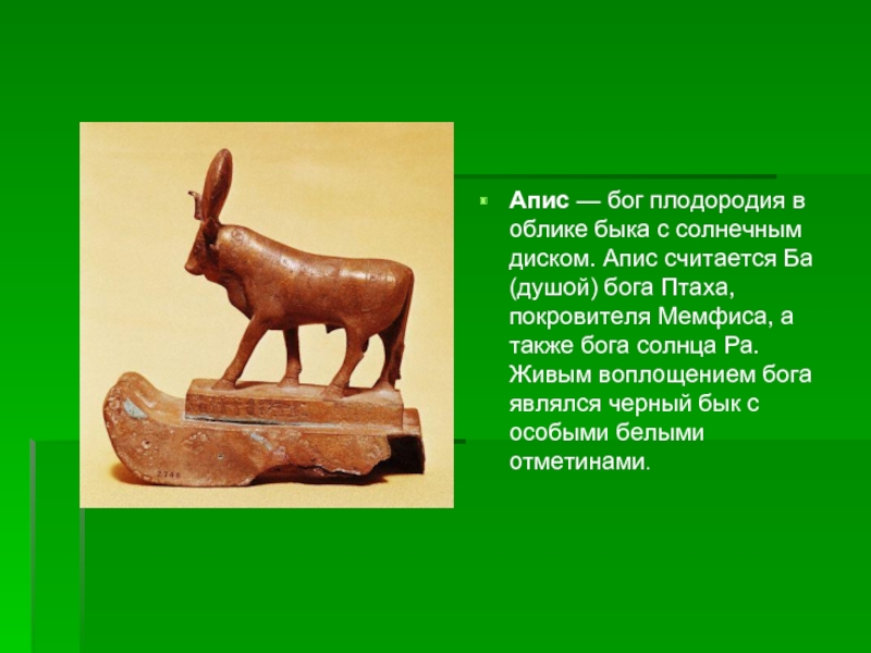 Апис бог чего. АПИС Бог плодородия. Египетский Бог АПИС Бог чего. Бог плодородия в Египте АПИС. Богиня АПИС.