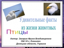 Птицы