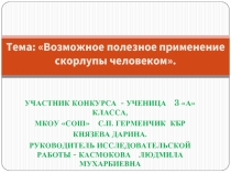 Исследовательская работа «Возможное полезное применение скорлупы человеком»