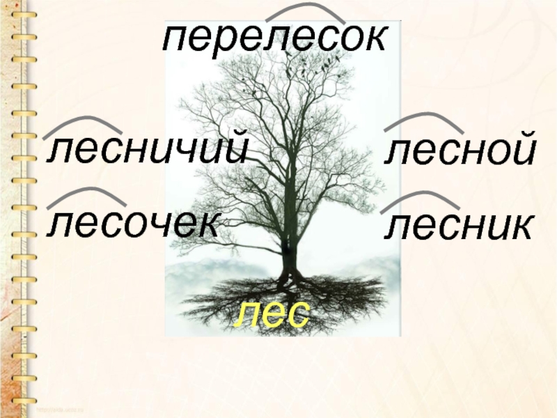 Слова с корнем лес. Дерево с однокоренными словами лес. Словесное дерево с корнем лес. Дерево корней русский язык.