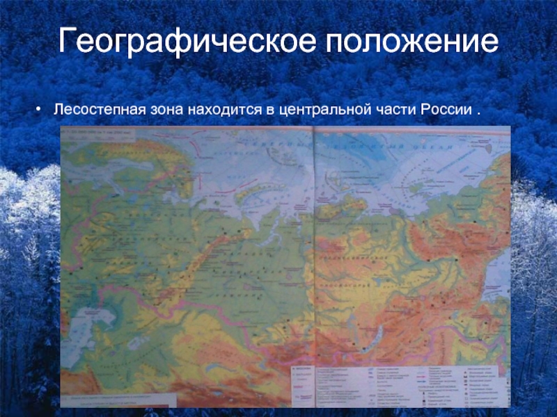 Географическое положениеЛесостепная зона находится в центральной части России .