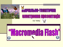 Macromedia Flash