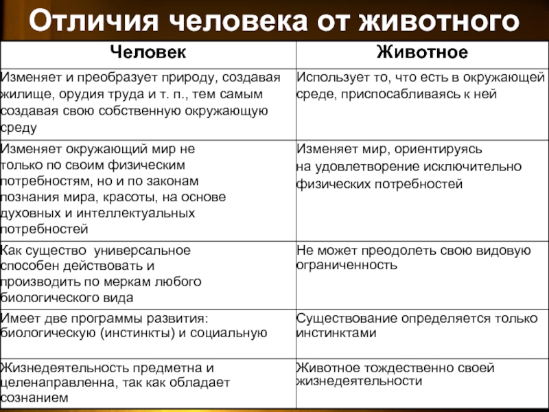 Чем психика человека отличается от психики животного