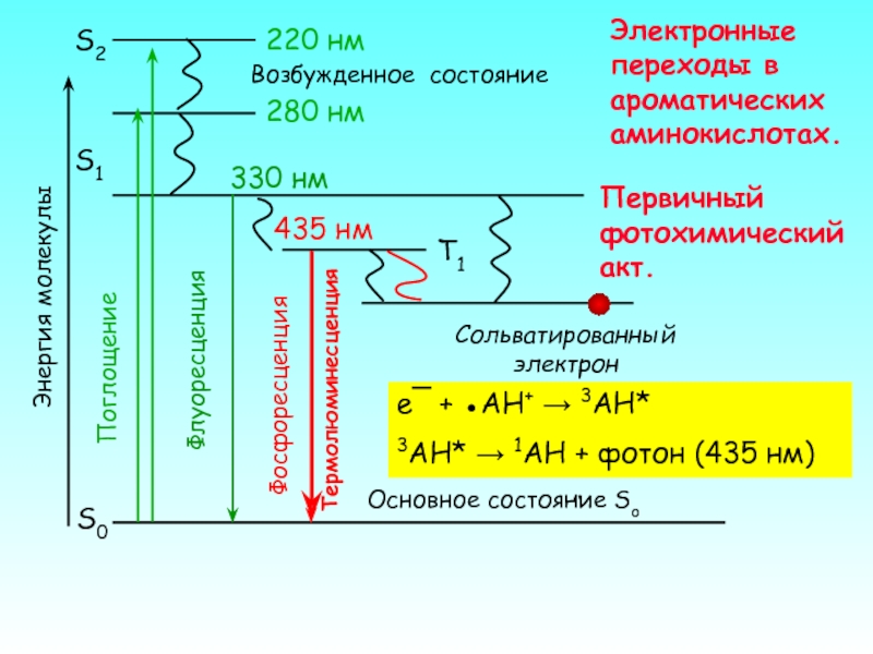Электронные переходы. Типы электронных переходов. Фосфоресценция схема. Обозначение электронных переходов. Фосфоресценция переходы.