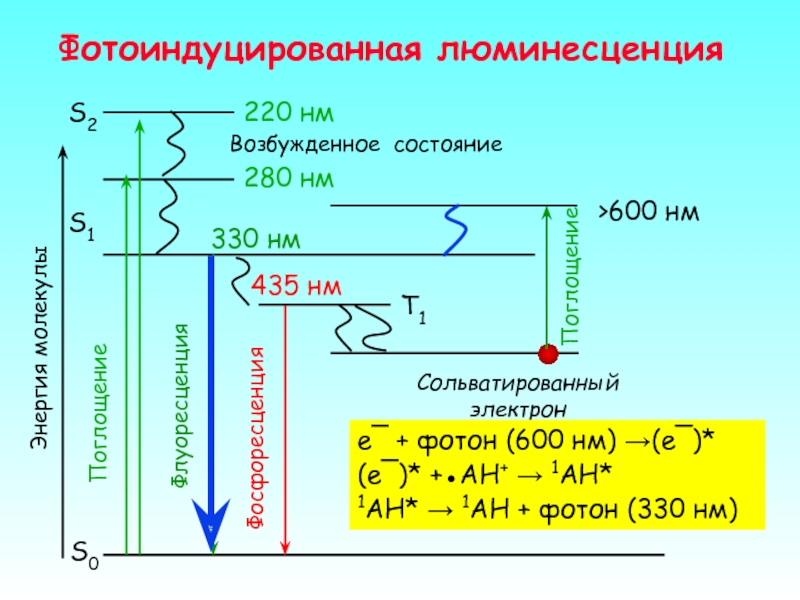 Фотоиндуцированная люминесценцияe¯ + фотон (600 нм) →(e¯)*(e¯)* +●AH+ → 1AH*1AH* → 1AH + фотон (330 нм)