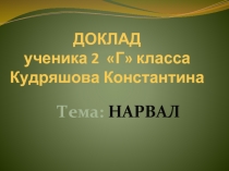 Нарвал