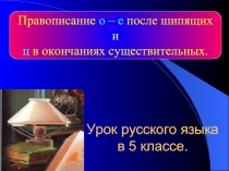 Правописание о – е после шипящих и ц в окончаниях существительных