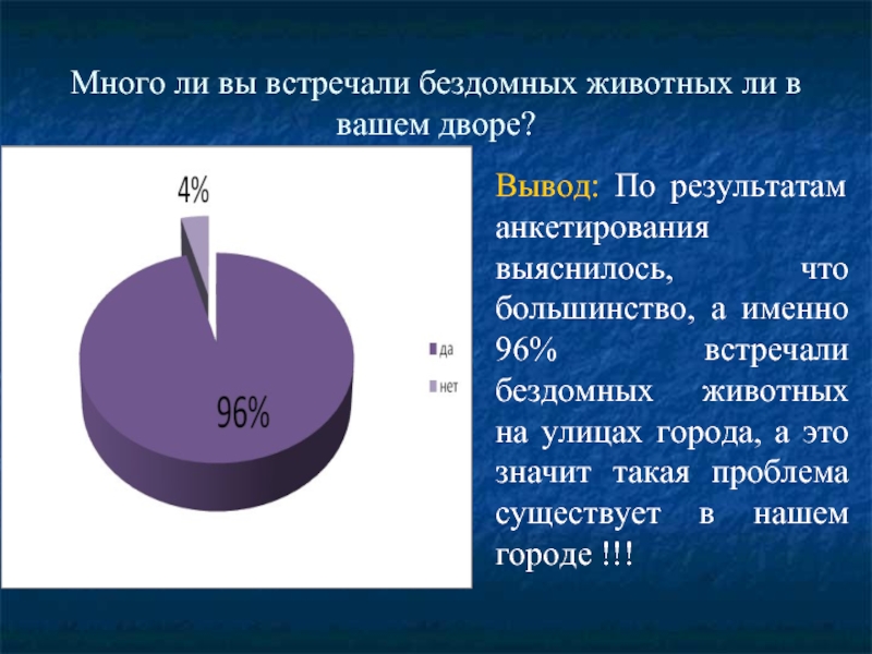 Анкетирование по проекту бездомные животные