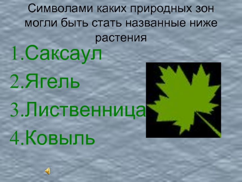 Ниже назову. Ели в какой природной зоне. Сочинение мое путешествие по природной зоне. Найди соответствие ягель лиственница ковыль. В какой природной зоне дожди идут каждый день.