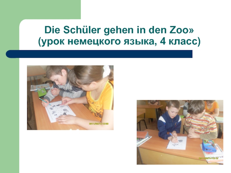 Die Schüler gehen in den Zoo» (урок немецкого языка, 4 класс)