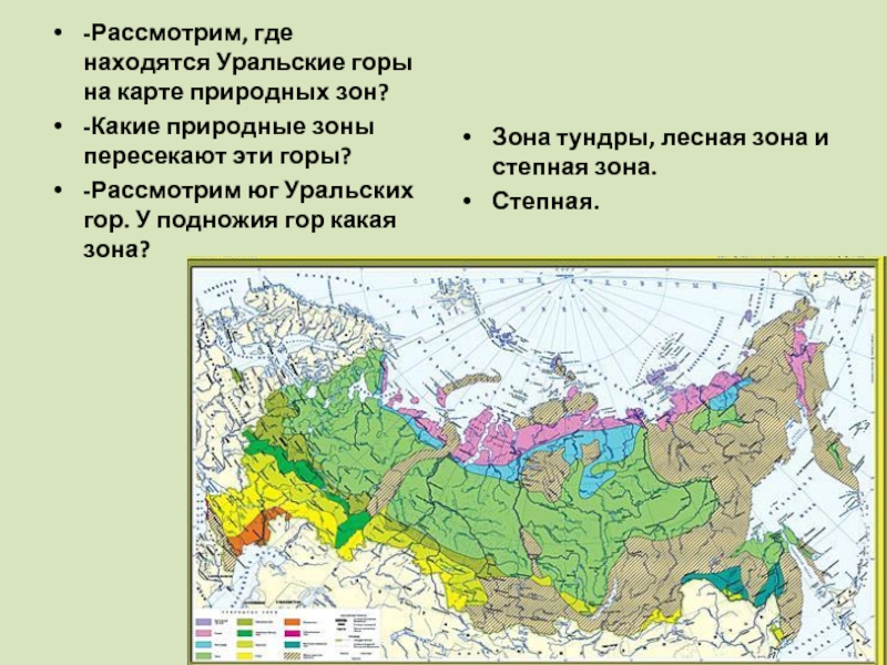 -Рассмотрим, где находятся Уральские горы на карте природных зон?-Какие природные зоны пересекают эти горы?-Рассмотрим юг Уральских гор.