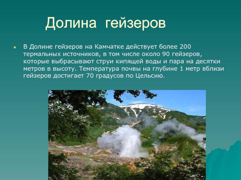 Долина гейзеровВ Долине гейзеров на Камчатке действует более 200 термальных источников, в том числе