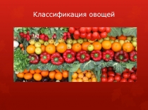 Классификация овощей (5 класс)