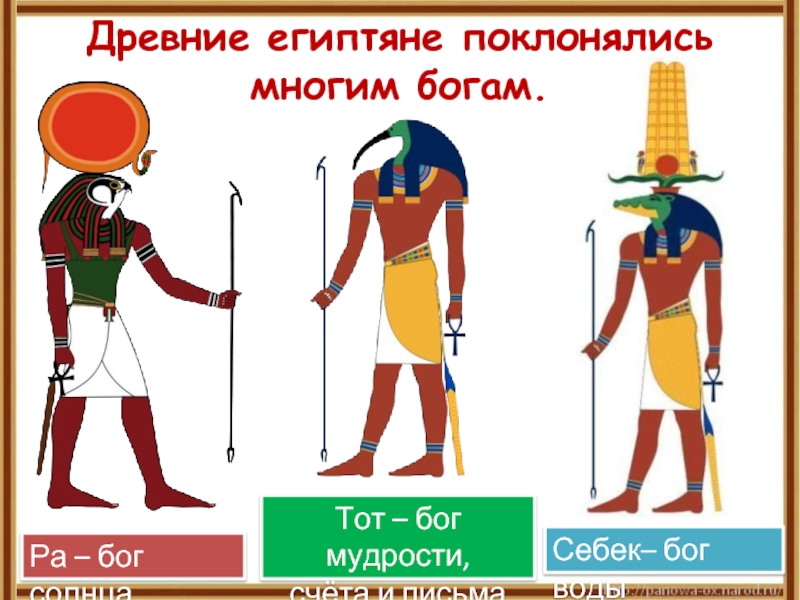 Древние египтяне поклонялись многим богам. Ра – бог солнцаСебек– бог водыТот – бог мудрости,счёта и письма