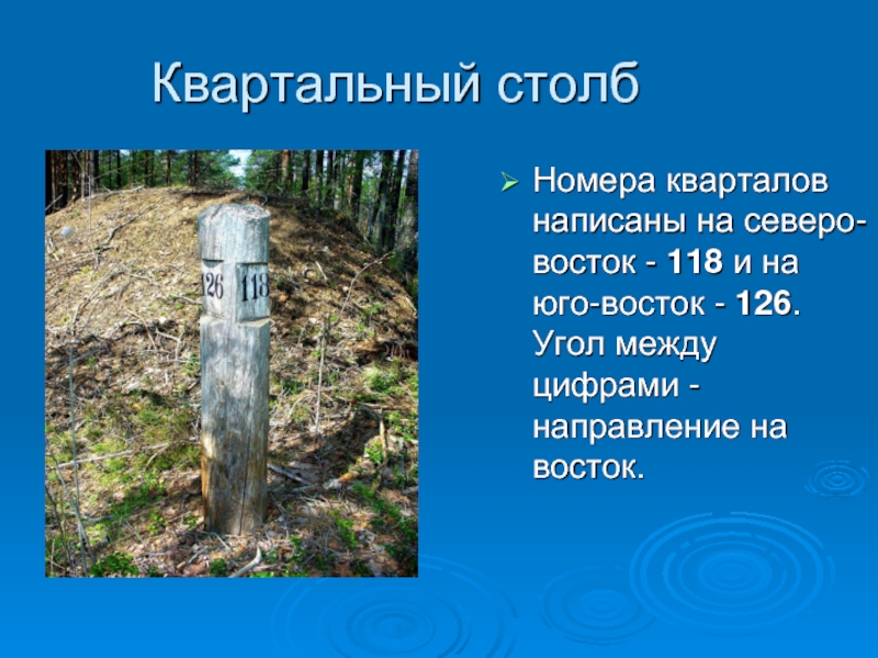 Квартальный столбНомера кварталов написаны на северо-восток - 118 и на юго-восток - 126. Угол между цифрами - направление на восток.   