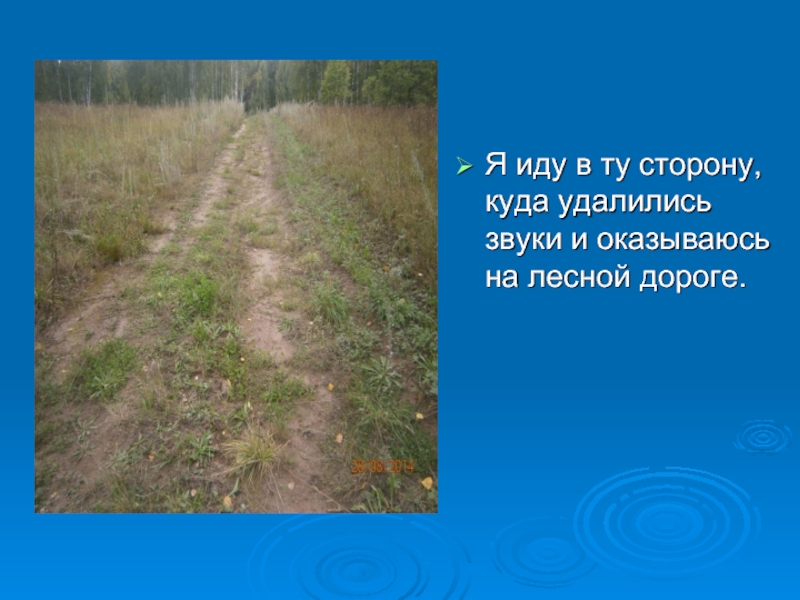 Я иду в ту сторону, куда удалились звуки и оказываюсь на лесной дороге.