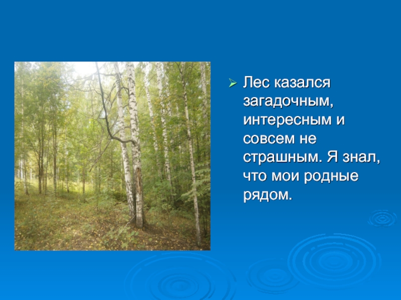 Лес казался загадочным, интересным и совсем не страшным. Я знал, что мои родные рядом.