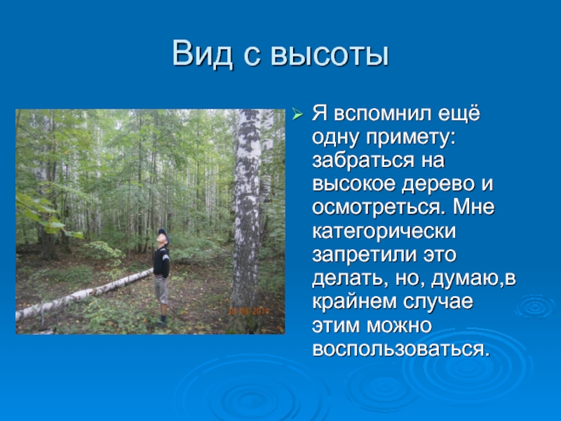 Вид с высотыЯ вспомнил ещё одну примету: забраться на высокое дерево и осмотреться. Мне категорически запретили это