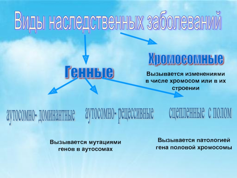 Изменение числа хромосом какая изменчивость. Хромосомные болезни связанные с аутосомами. Мутации связанные с изменением числа хромосом называются. Генетика и здоровье человека презентация 10 класс. Генный болезни вызываются изменением.