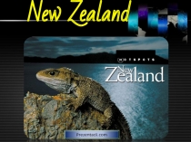 Новая Зеландия - New Zealand
