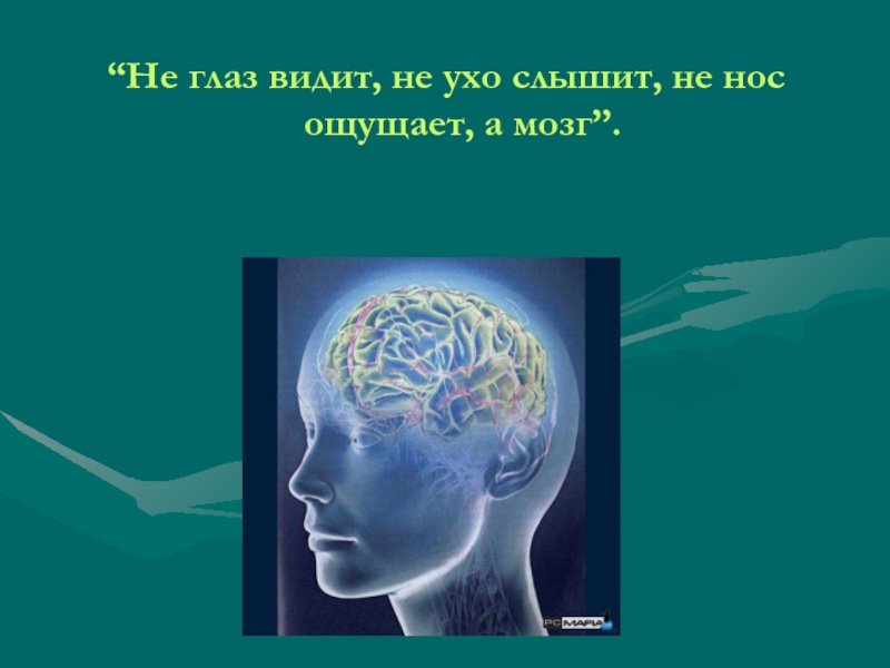 Не видим не слышим. Человек видит мозгом, а не глазами. Не глаз видит не ухо слышит не нос ощущает а мозг. Воспринимаем окружающий мир глазами мозгом. Мозг чувствует.