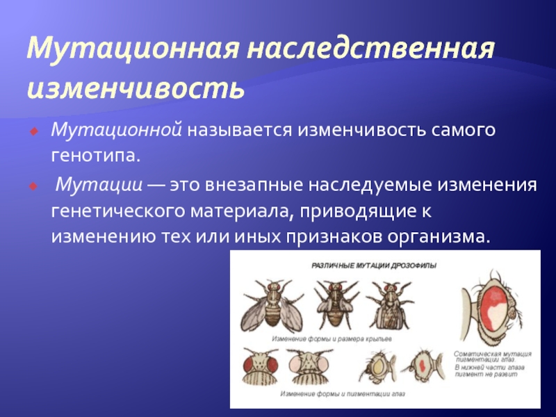 Мутационная изменчивость виды мутаций презентация биология 10 класс