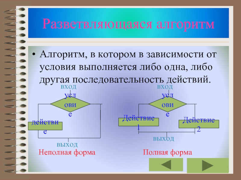 Разветвляющийся алгоритм картинки