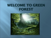 Welcome to Green forest