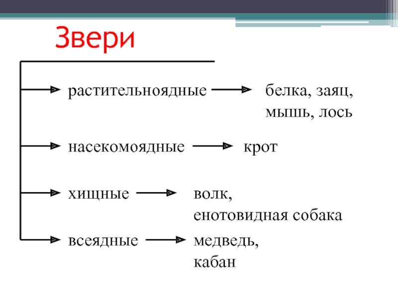 Растительноядные животные 3 класс окружающий. Растительноядные Насекомоядные Хищные всеядные. Животные травоядные Хищные и всеядные таблица. Животные хищники растительноядные Насекомоядные всеядные. Растительнояднынассекомоядные Хищные всеядные 3 класс.