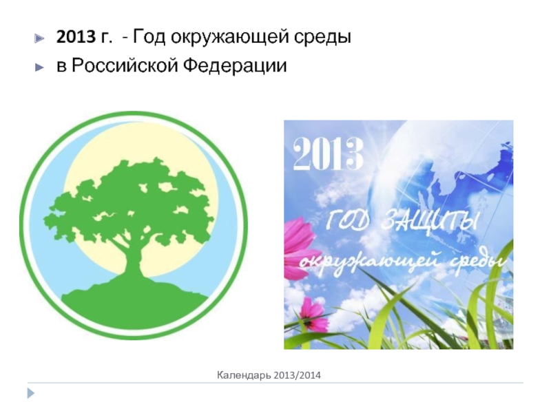 Календарь 2013/20142013 г. - Год окружающей среды в Российской Федерации
