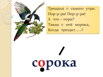Слово «Сорока» (русский язык)