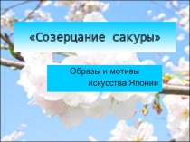 Созерцание сакуры