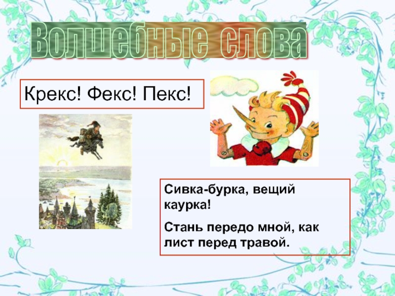 Фекс плюс