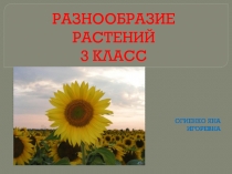 Разнообразие растений