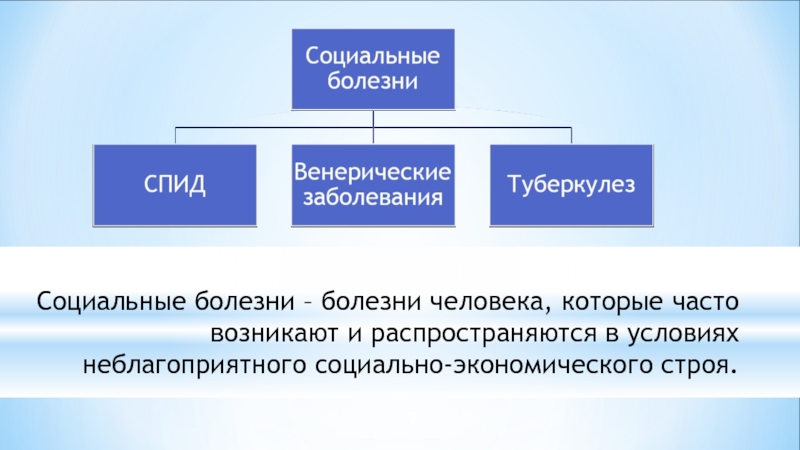 Социально экономический строй