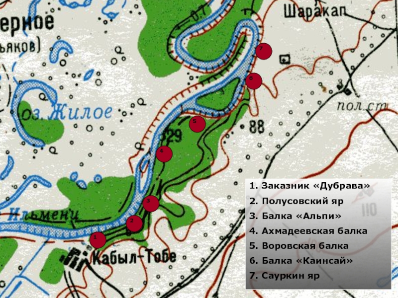 Урал проект дубрава