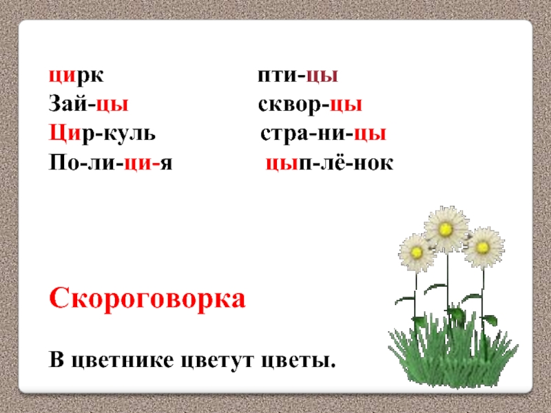 Слова н букву ц. Скороговорки на букву ц. Пословицы с буквой ц. Скороговорки на букву ц для 1 класса. Поговорка со звуком ц.