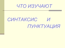 Что изучает синтаксис и пунктуация