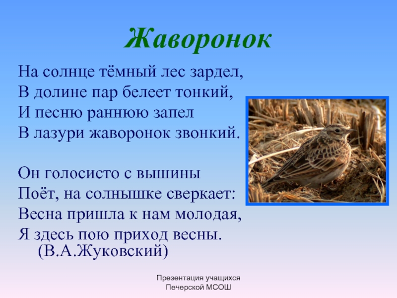 Песня жаворонком звонким полетим в края. Жуковский на солнце тёмный лес зардел. На солнце тёмный лес зардел в долине пар. На солнце темный лес зардел в долине пар Белеет тонкий Жаворонок. Стих на солнце тёмный лес зардел в долине пар Белеет тонкий.