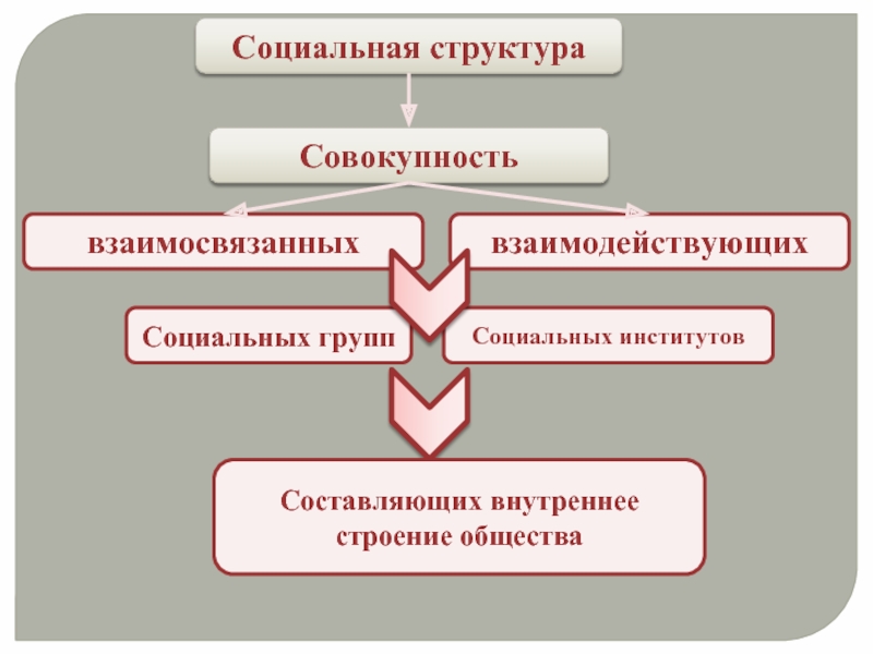 Как называется совокупность взаимосвязанных социальных проектов