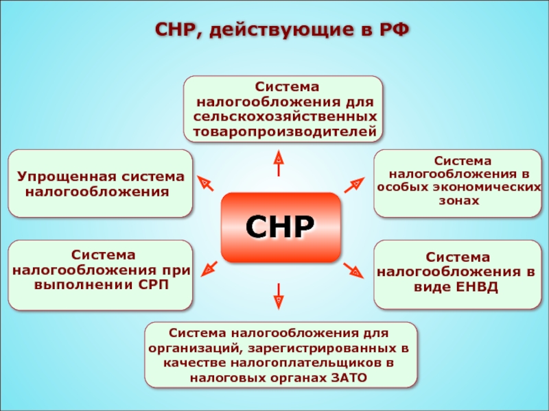 Специальные налоговые режимы картинки