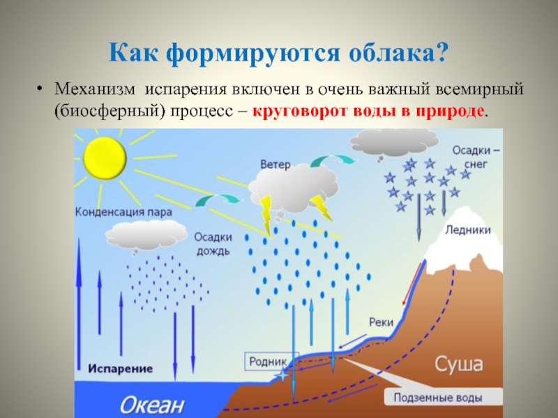Как формируются облака?Механизм испарения включен в очень важный всемирный (биосферный) процесс – круговорот воды в природе.