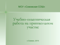 Учебно-опытническая работа на пришкольном участке