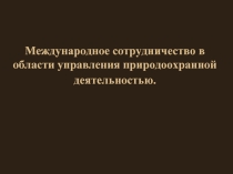 Международное сотрудничество в области управления природоохранной деятельностью