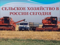 Сельское хозяйство в России сегодня